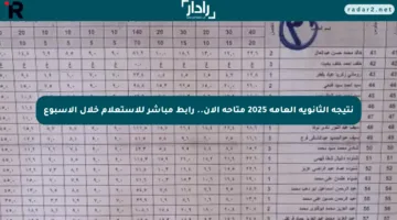 نتيجة الثانوية العامة 2025 متاحة الآن.. رابط مباشر للاستعلام خلال الأسبوع